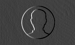  Your online service's login guide